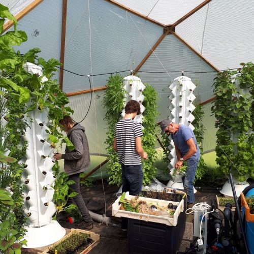 UrbanJungle-ecosystems-urbanponics-24