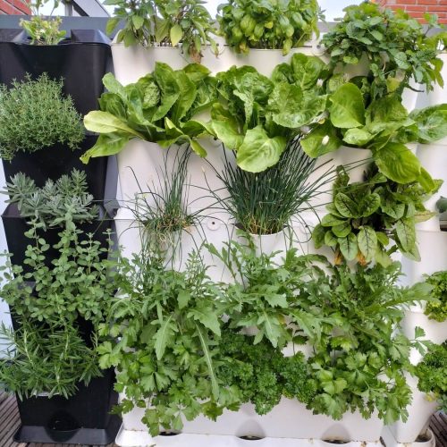 UrbanJungle-ecosystems-urbanponics-44