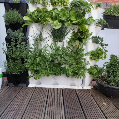 UrbanJungle-ecosystems-urbanponics-47