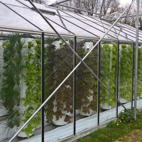 UrbanJungle-ecosystems-urbanponics-51