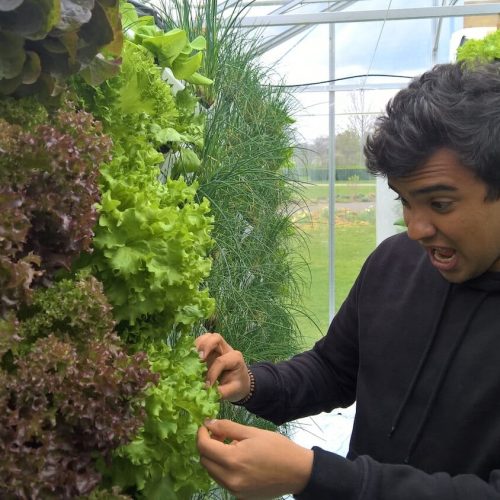 UrbanJungle-ecosystems-urbanponics-54