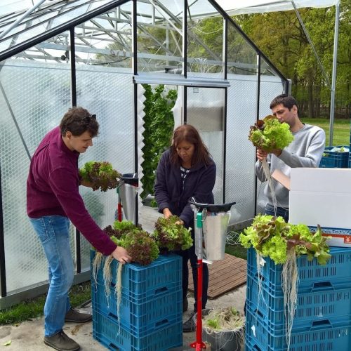 UrbanJungle-ecosystems-urbanponics-59